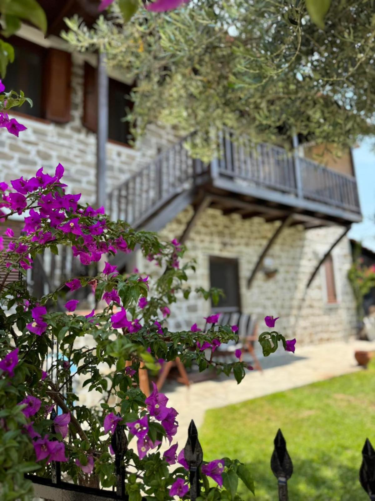 Villa Kyr Gianni Mansion Sykia Chalkidikis Esterno foto